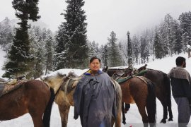 Pemuda Jember raup omzet ratusan juta dari bunga saffron