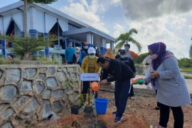 Kepri upayakan penanaman 1 miliar pohon kelapa