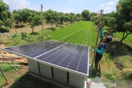 Petani Manfaatkan Tenaga Surya