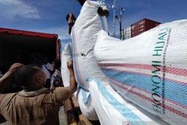 Koperasi: Perkebunan kakao di Manokwari Selatan hanya butuh peremajaan