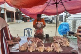 Maulid Nabi, harga ayam kampung di Lhokseumawe melonjak tajam