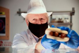 Kembali diisolasi, PM Inggris Boris jalankan pemerintahan lewat Zoom