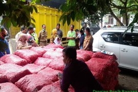 Dinas Tanaman Pangan Sumut salurkan bantuan COVID untuk kelompok tani