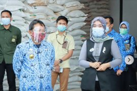 Nunik tinjau ketersediaan pupuk di Lampung Timur
