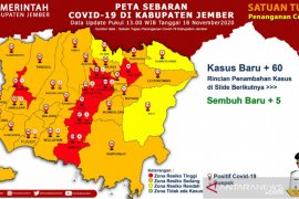Kampanye pilkada turut sumbang naiknya kasus COVID-19 di Jember