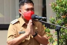 Pemkab Minut dorong pengembangan tanaman porang