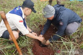 SuperAdventure Banjarmasin rayakan Ultah dengan tanam bibit pohon di Teluk Adungan