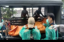 Jasad wanita ditemukan membusuk di dapur rumah