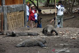 Pegiat wisata kembangkan atraksi di desa sekitar Taman Nasional Komodo guna tarik wisatawan