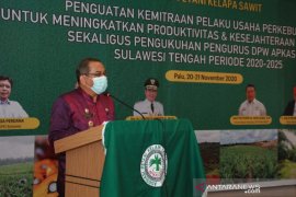 Pemprov Sulteng  harap Apkasindo bantu pemerintah bina petani sawit