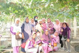 Wanita Tani Salo menimba ilmu di kebun anggur Bengkalis