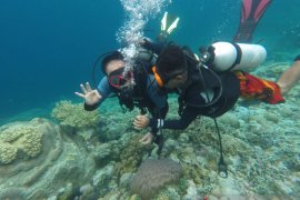 Wamendes PDTT optimistis kawasan Wakatobi bisa jadi destinasi wisata unggulan