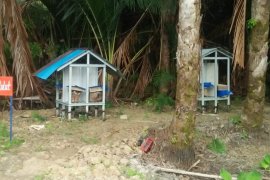 Adaro creates pesantren-based entrepreneurship through cultivating kelulut