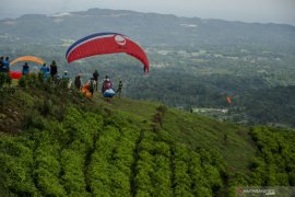 Minister calls regions across Indonesia to promote agrotourism