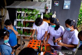 CCAI Balinusa Operation latih jurnalis bercocok tanam hidroponik