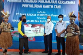 BRI siapkan 17.000 kartu tani di Papua