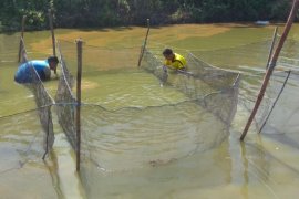 Adaro growing with pesantren