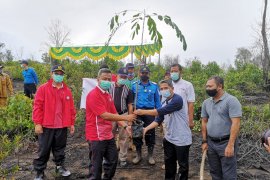 Jasa Raharja dan BP Batam jaga hutan lindung dengan penghijauan