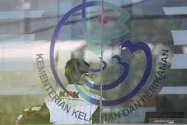 Kemarin, regulasi benih lobster tidak salah hingga modus penipuan lelang