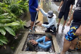 Dinas PUPR Denpasar bersihkan drainase untuk  cegah banjir