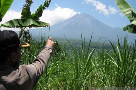Gunung Semeru luncurkan guguran  lava pijar