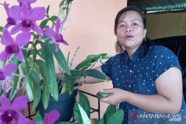 Penjualan bunga hias meningkat di masa pandemi COVID-19