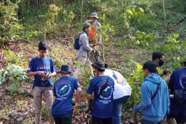 DLH Paser dan KPK tanam pohon di area Tahura