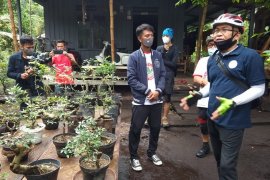 Sajian Rumah Bonsai Tambi Trubus di kawasan ekowisata Sukorejo