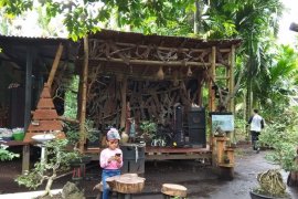 Rumah Bonsai "Tambi Trubus" di Betara juga sajikan 'live music"