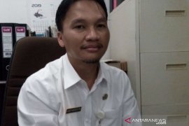 Jumlah sapi "Brahman Cross" di Penajam meningkat capai 200 persen
