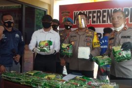Polres Palu tangkap tiga jaringan mafia sabu beserta babuk 19 kilogram