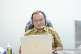 Pemprov Bangka Belitung kembangkan budi daya gaharu guna tingkatkan nilai ekspor