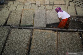 Tangkapan ikan teri nelayan Surabaya