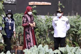 Istri dan anak Wali Kota Malang juga terinfeksi COVID-19