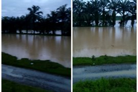 Sungai Wampu Langkat meluap