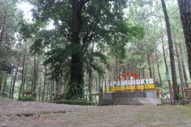 Destinasi Curug Cipamingkis Bogor tawarkan keluar dari penatnya PSBB