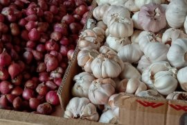 Harga bawang di pasar tradisional Ambon turun