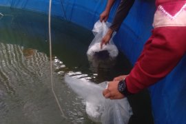 CSR Adaro untuk Pesantren Nurul Muhibbin