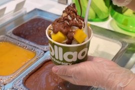 Tips konsumsi yoghurt beku yang lebih sehat untuk camilan harian