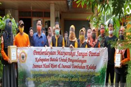 Peneliti ULM ciptakan aneka produk pangan inovatif berbahan kelakai