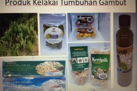 ULM researchers create innovative food from kelakai