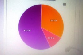 Romanus-Riduwan unggul sementara 57,2 persen Pilkada Merauke