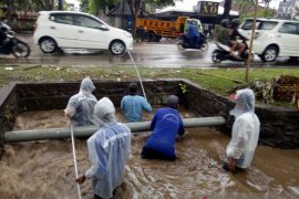 Petugas Dinas PUPR kota Denpasar bersihkan sungai antisipasi banjir