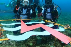 PLN UIP Maluku peduli ekosistem laut