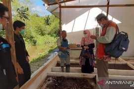 Unand perkenalkan "maggot" sebagai pakan alternatif untuk ikan dan unggas