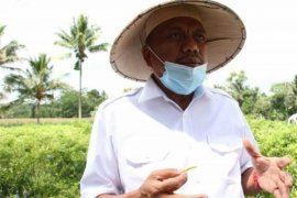 Beri perhatian besar sektor perkebunan, Olly diganjar APPI Award Kementan