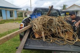 Pemkab Mukomuko amankan lima kapal pengguna "trawl"