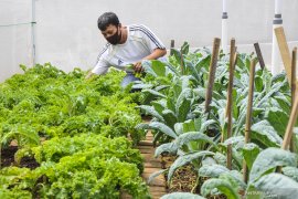 ASEAN can gain US$1 billion from green economy: Indonesia