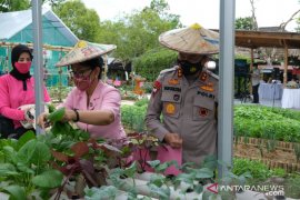 Bhayangkari Sulawesi Tenggara ikut jaga ketahanan pangan saat pandemi corona