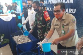 Kotabaru musnahkan setengah juta rokok tanpa cukai